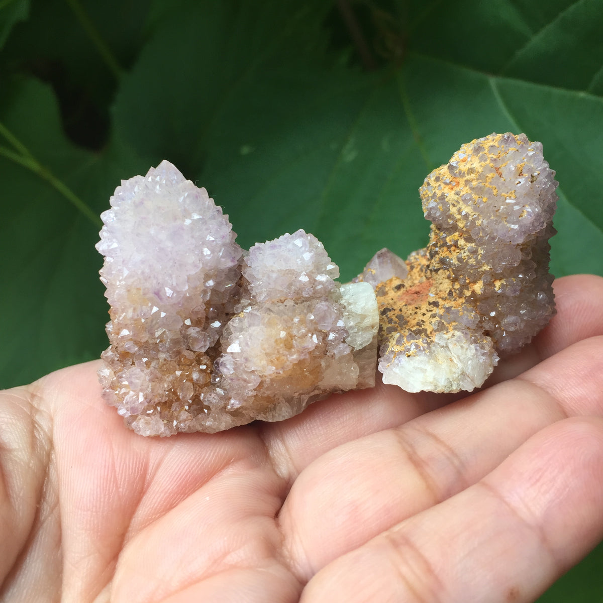 Spirit Family Song of Stones