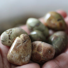 Load image into Gallery viewer, Mt. Hay Star Agate Amulet Stone - Song of Stones