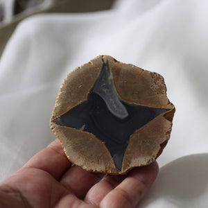 Star Glider - Star Agate Geode - Song of Stones