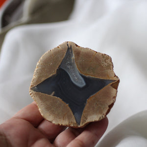 Star Glider - Star Agate Geode - Song of Stones