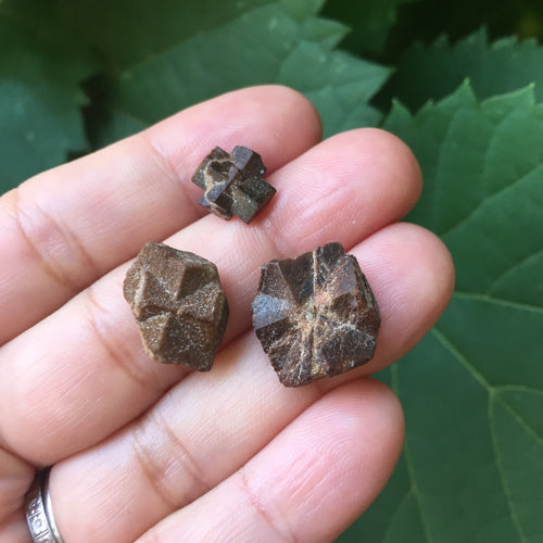 Staurolite Fairy Stones - Song of Stones