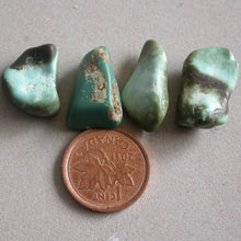 Load image into Gallery viewer, Natural Turquoise Stones - Song of Stones