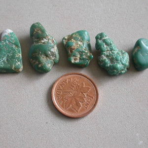 Natural Turquoise Nuggets - Song of Stones