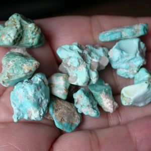 Takanuta Turquoise with Quartz - Song of Stones