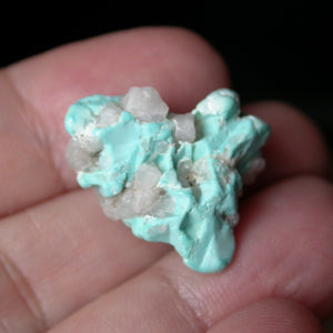 Takanuta Turquoise with Quartz - Song of Stones