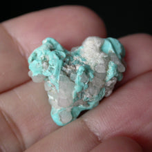 Load image into Gallery viewer, Takanuta Turquoise with Quartz - Song of Stones