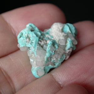 Takanuta Turquoise with Quartz - Song of Stones