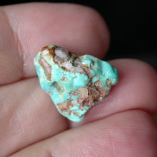 Load image into Gallery viewer, Takanuta Turquoise with Quartz - Song of Stones