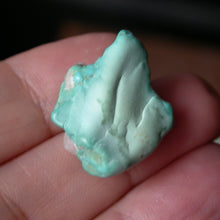 Load image into Gallery viewer, Takanuta Turquoise with Quartz - Song of Stones