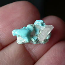 Load image into Gallery viewer, Takanuta Turquoise with Quartz - Song of Stones