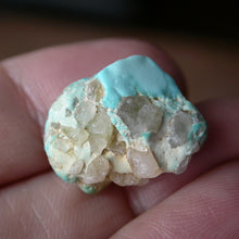 Load image into Gallery viewer, Takanuta Turquoise with Quartz - Song of Stones