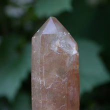 Load image into Gallery viewer, The Crystal named Crystal - Song of Stones