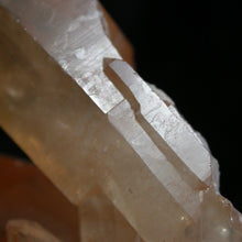 Load image into Gallery viewer, Telyrin Clan of the Tangerine Time Totems - Song of Stones