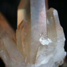Load image into Gallery viewer, Telyrin Clan of the Tangerine Time Totems - Song of Stones