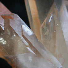 Load image into Gallery viewer, Telyrin Clan of the Tangerine Time Totems - Song of Stones