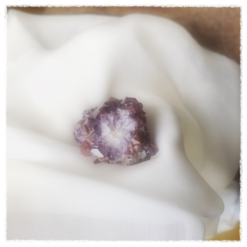 Trixie the Faerie and Buek the Elf