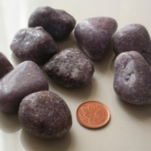 Load image into Gallery viewer, Tumbled Lepidolite - Song of Stones