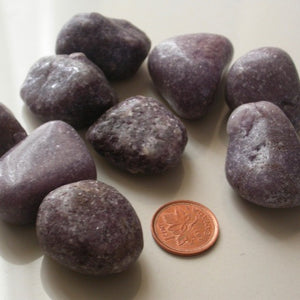 Tumbled Lepidolite - Song of Stones