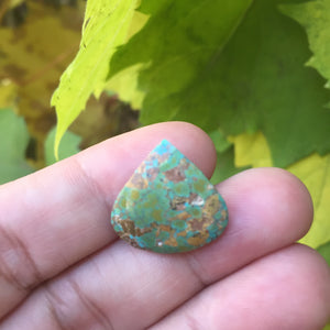 Turquoise Earth Stone Leaf - Song of Stones