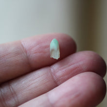 Load image into Gallery viewer, Turquoise Phantom Quartz Crystal 061504 - Song of Stones