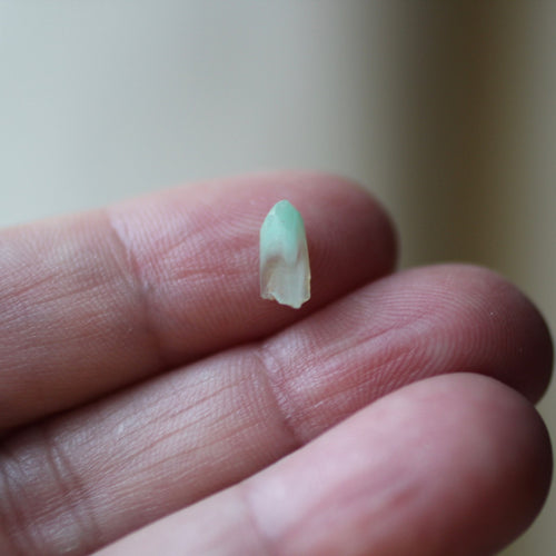 Turquoise Phantom Quartz Crystal 061504 - Song of Stones