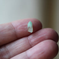 Turquoise Phantom Quartz Crystal 061504 - Song of Stones