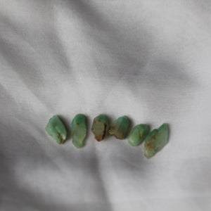 Turquoise Phantom Quartz Crystals - Song of Stones