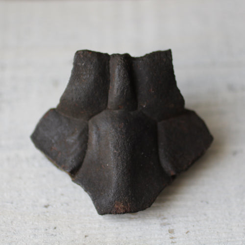 Fossil Turtle Shell - Song of Stones