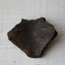 Load image into Gallery viewer, Fossil Turtle Shell - Song of Stones