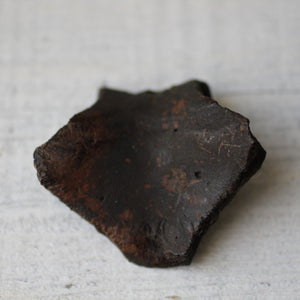 Fossil Turtle Shell - Song of Stones