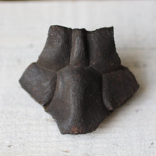 Load image into Gallery viewer, Fossil Turtle Shell - Song of Stones