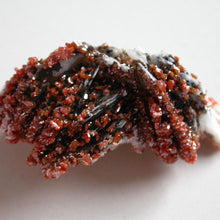 Load image into Gallery viewer, Vanadinite Crystal Cluster - Song of Stones