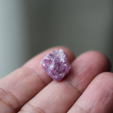 Load image into Gallery viewer, Vesuvianite Rose - Song of Stones