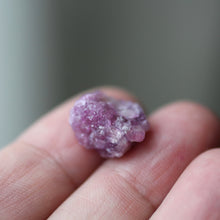 Load image into Gallery viewer, Vesuvianite Rose - Song of Stones