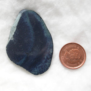 Vivianite Polished Slices - Song of Stones