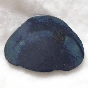 Vivianite Polished Slices - Song of Stones