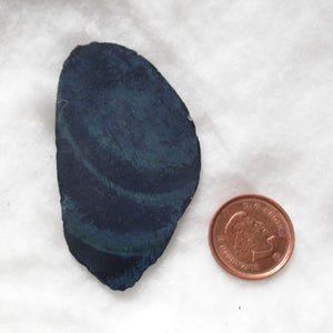 Vivianite Polished Slices - Song of Stones