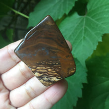 Load image into Gallery viewer, Willa of the Wood - Song of Stones