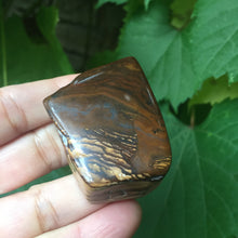 Load image into Gallery viewer, Willa of the Wood - Song of Stones