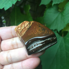Load image into Gallery viewer, Willa of the Wood - Song of Stones