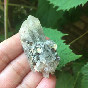 Witches Finger Crystal Twin - Song of Stones