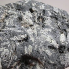 Load image into Gallery viewer, Fairy Notes in Writing Rocks - Song of Stones