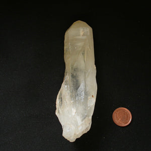 Golden Wings Yellow Quartz Crystal - Song of Stones