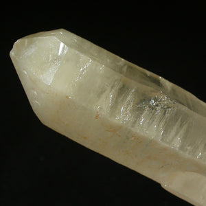 Broken and Whole - Dolphin Key Yellow Quartz Crystal - Song of Stones