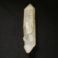 Broken and Whole - Dolphin Key Yellow Quartz Crystal - Song of Stones