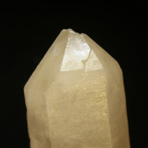 Broken and Whole - Dolphin Key Yellow Quartz Crystal - Song of Stones