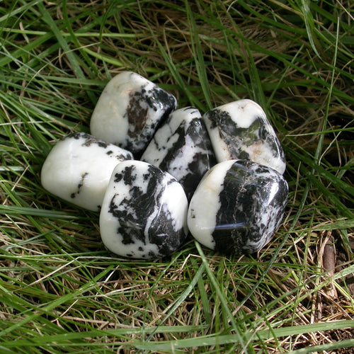 Zebra Agate Tumbles - Song of Stones