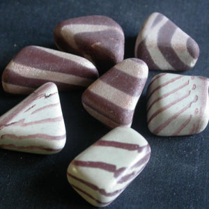 Zebra Rock - Song of Stones